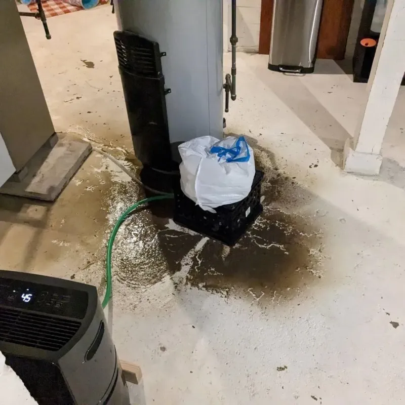 Sewage Backup Cleanup Service in Moulton, AL